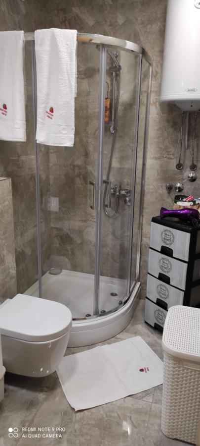 Zlatibor Apartman Jagoda Eksteriør billede